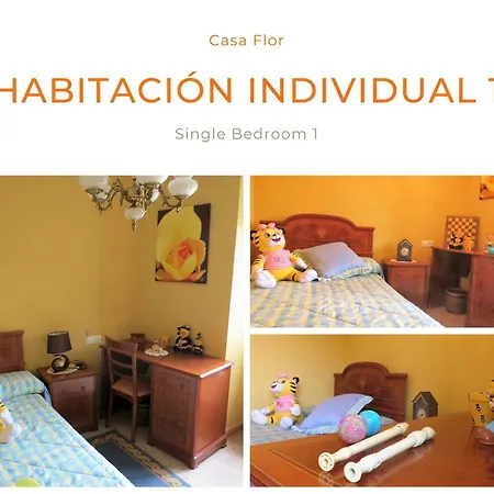 Casa Flor